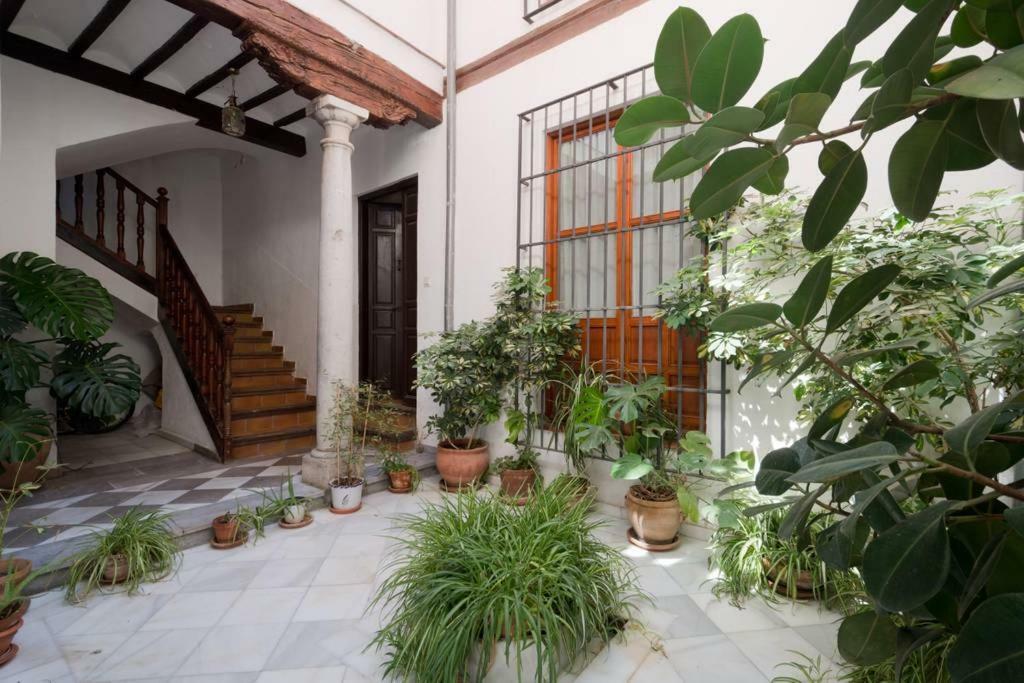 דירות גרנדה Stunning Alhambra View Balconies, In The Albayzin מראה חיצוני תמונה